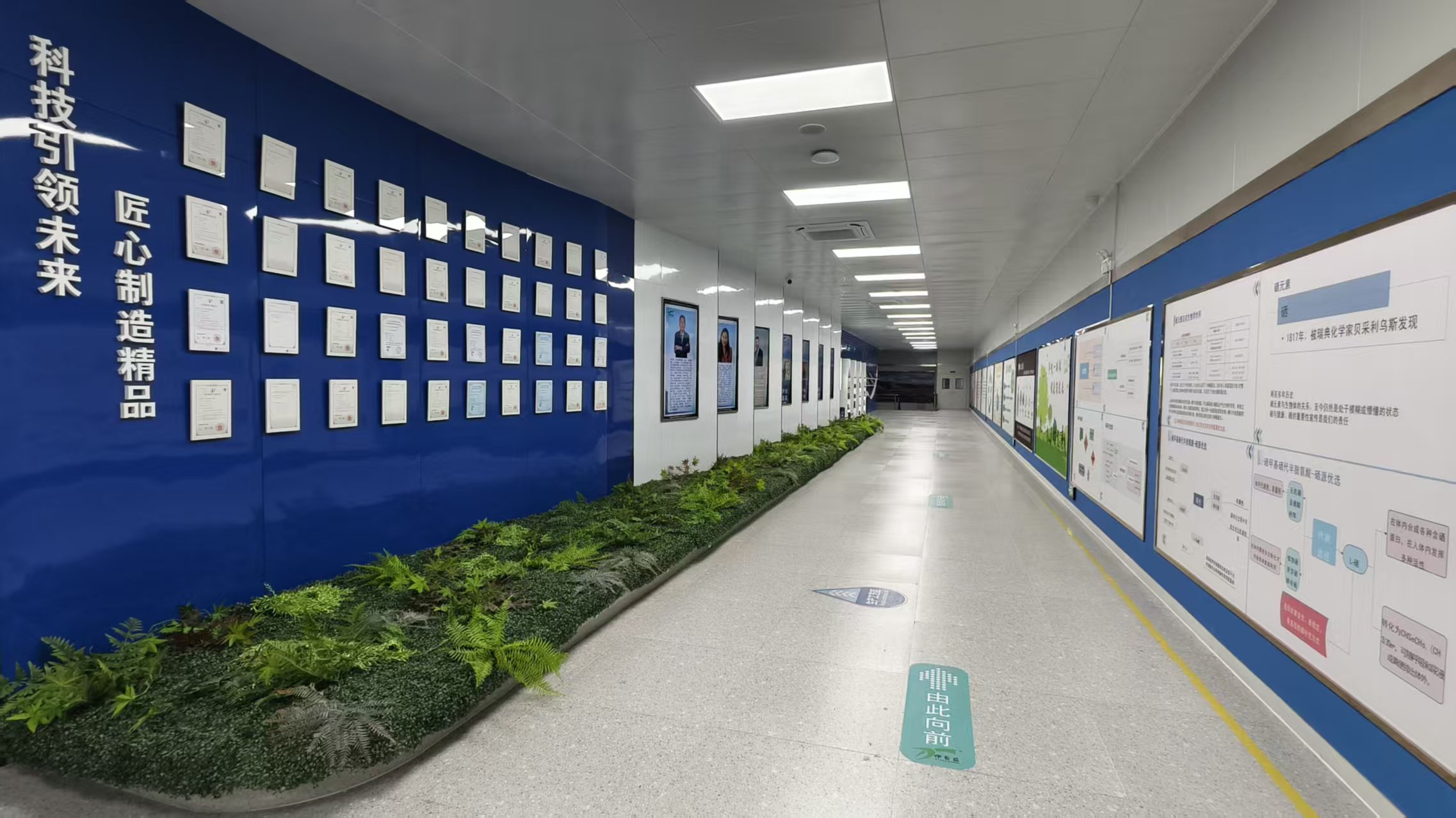 銀川伊百盛生物工程有限公司