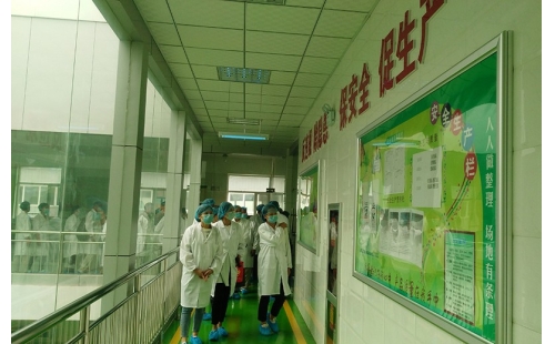 值公司成立十周年慶典，公司贊助萬名老人免費游寧夏系列活動