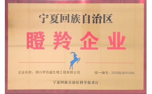 銀川伊百盛榮膺2025年度&ldquo;自治區(qū)瞪羚企業(yè)&rdquo; 以創(chuàng)新賦能產業(yè)發(fā)展